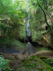 Cascata circondata da vegetazione lussureggiante in un ambiente naturale e tranquillo.