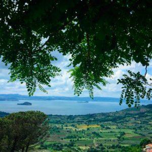 Vista panoramica su un lago con alberi e paesaggio verde.