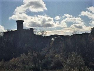 Castello silhouette contro un cielo nuvoloso, circondato da alberi e vegetazione.