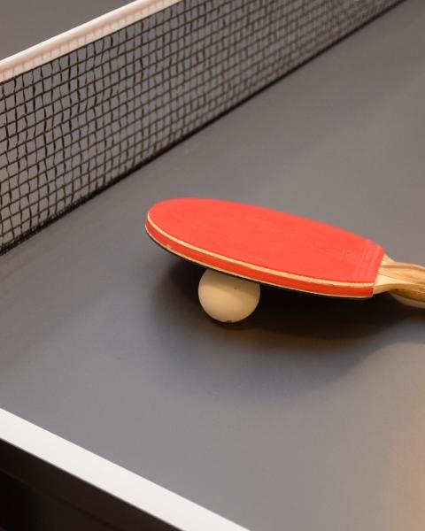 Racchetta e pallina da ping pong su un tavolo con rete.