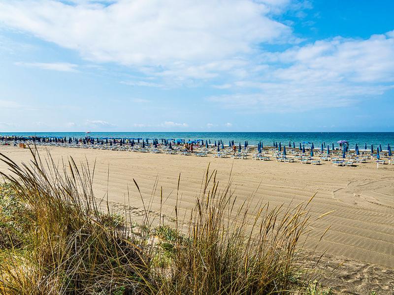 Spiaggia con ombrelloni chiusi, sabbia dorata e mare azzurro sotto un cielo sereno.